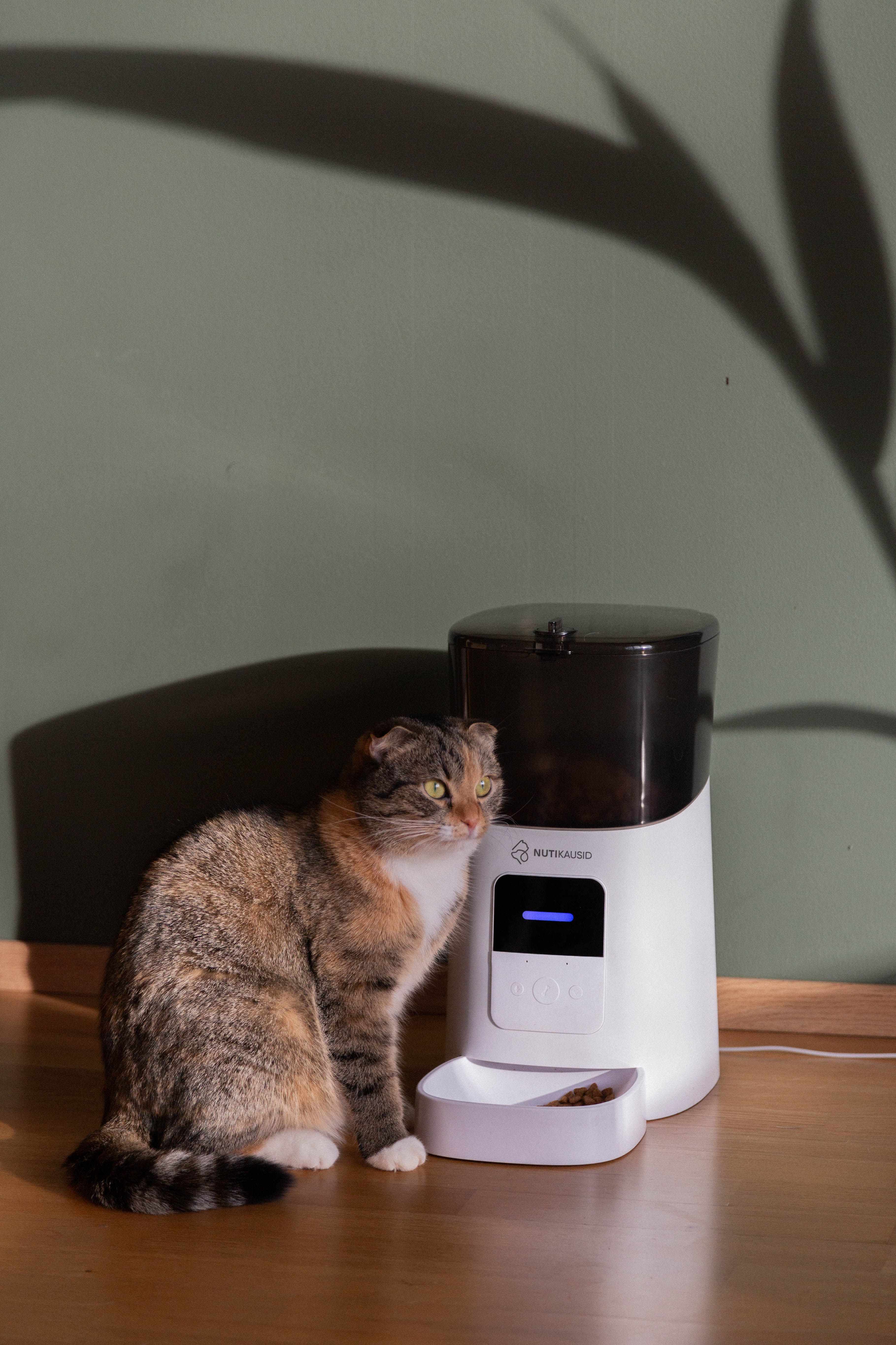 FOOD DISPENSER
