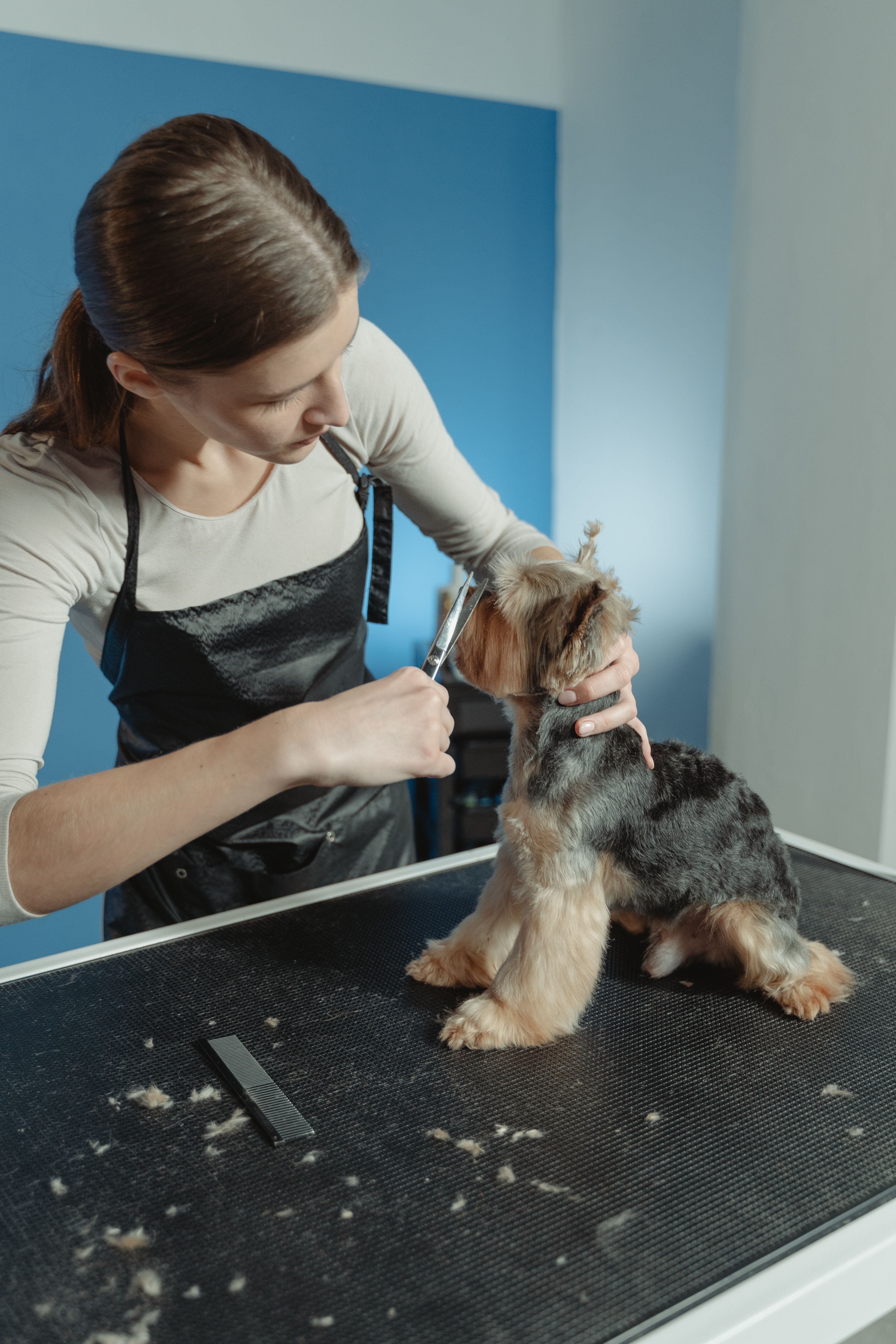 PET HAIR REMOVER VACYYM